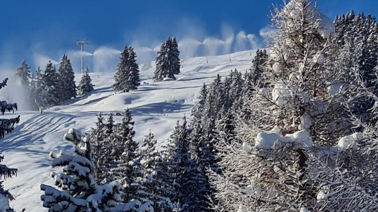 Chalet Wulli In Der Naehe Der Skianlagen Savognin Ngoại thất bức ảnh
